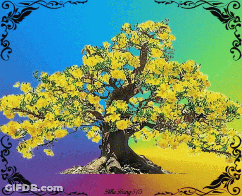 Tree With Yellow Flowers Nha Trang 513 GIF