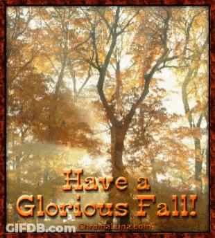 Trees Saying Have A Glorious Fall GIF