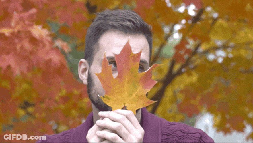 Trey Kennedy Moves Down Fall Leaf GIF