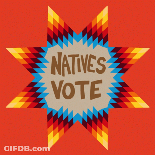 Tribal Chief Fights For Native Votes GIF