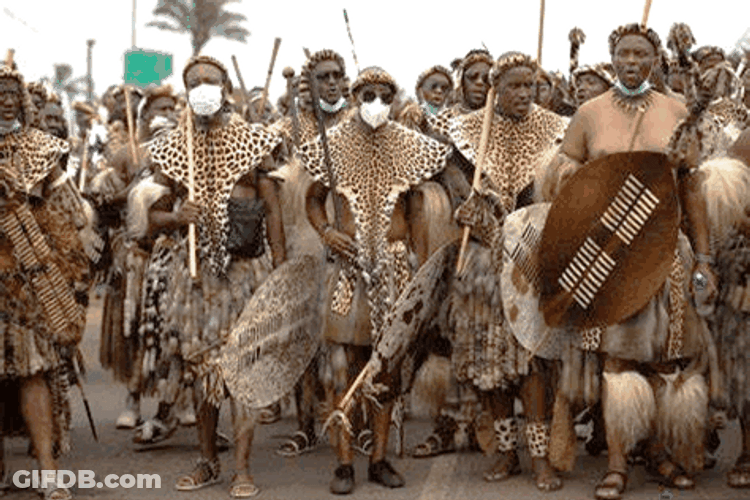 Tribal Chief With Tribe Brings Shield And Weapons GIF