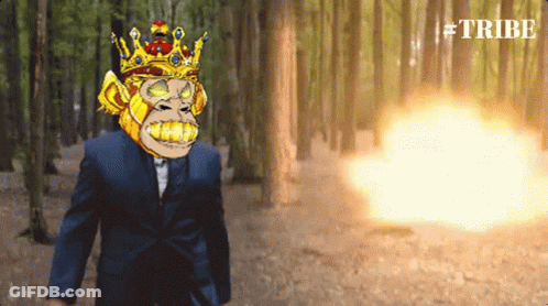 Tribe Fire GIF