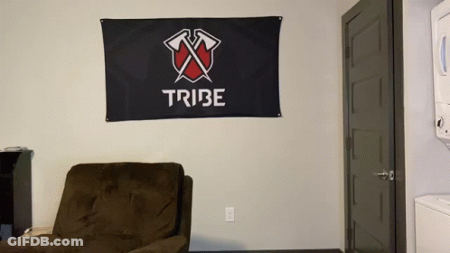 Tribe Flag Hangs Above Brown Couch GIF