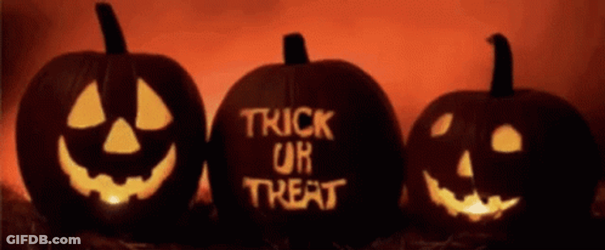 Trick Or Treat Pumpkins GIF