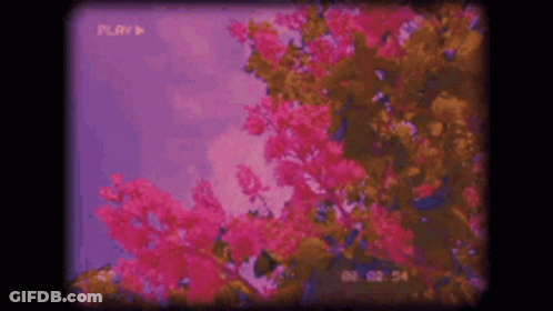 Trick Or Treat Want A Dick To Eat Halloween GIF