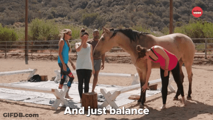 Tried Pommel Horse Yoga GIF