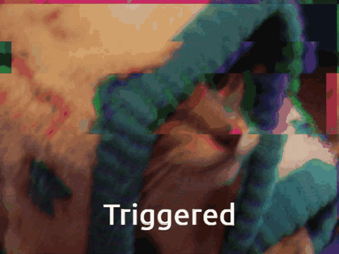 Triggered Hooded Cat GIF