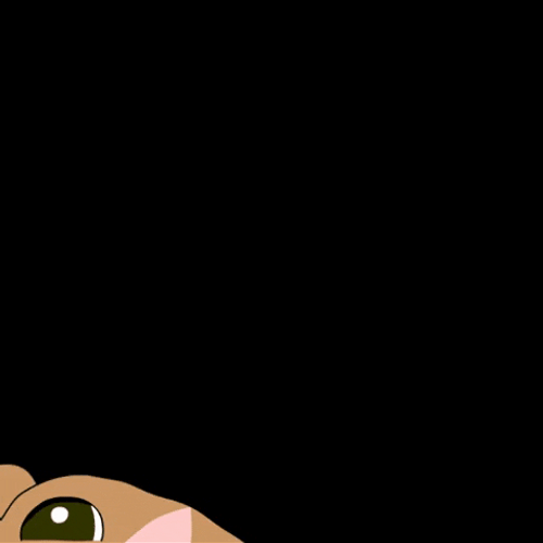 Trinidad And Tobago Dog GIF