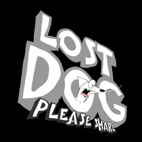 Trinidad And Tobago Lost Dog GIF