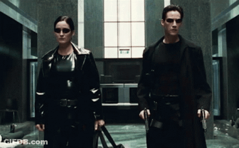 Trinity And Neo Matrix GIF