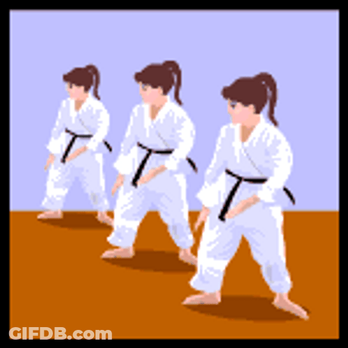 Trio Karate Animation GIF