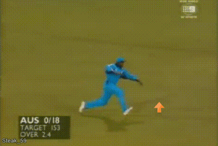 Trip Catch In Crickets Meme Game GIF