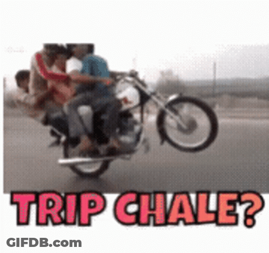 Trip Chale Motorcycle Trick GIF