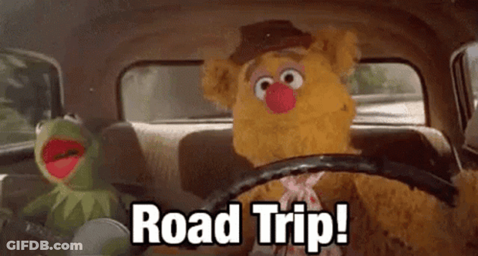 Trip GIF