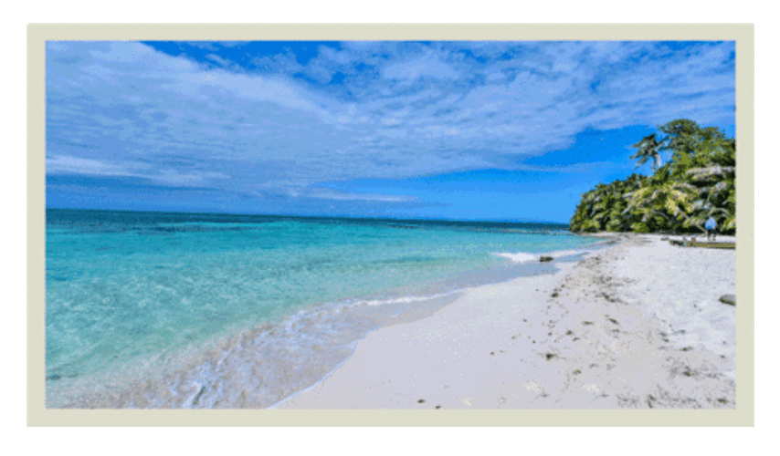 Trip To Belize GIF