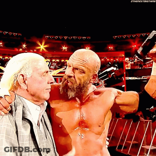 Triple H Hugging Sweet Gesture GIF