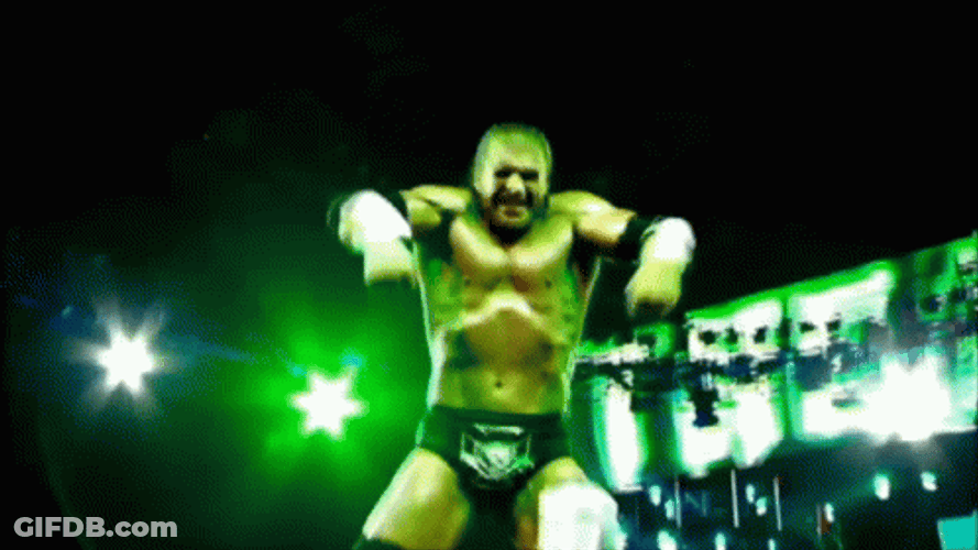 Triple H Paul Michael Levesque Compilation GIF