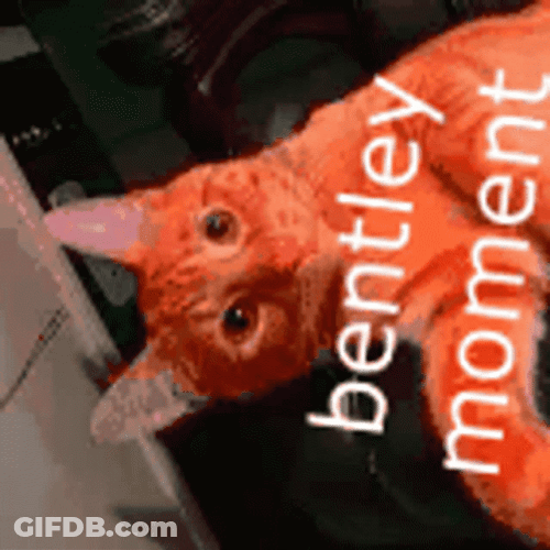 Triple Lindy GIF