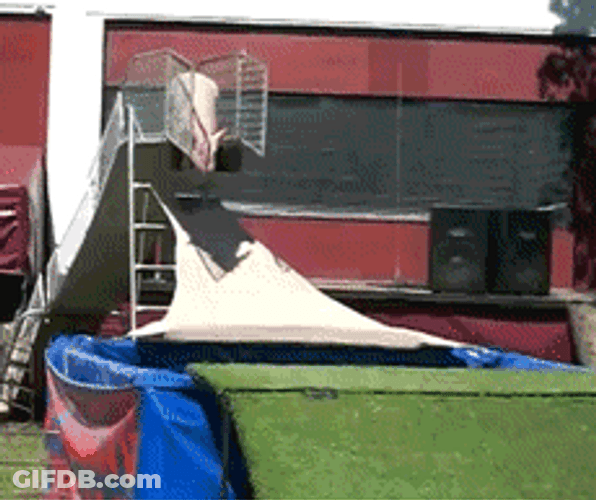 Triple Lindy Jumping Pig GIF