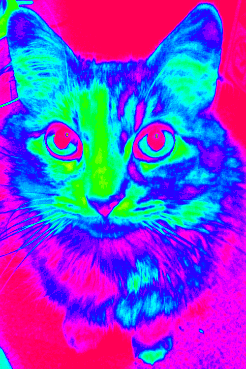 Trippy Art Cart GIF