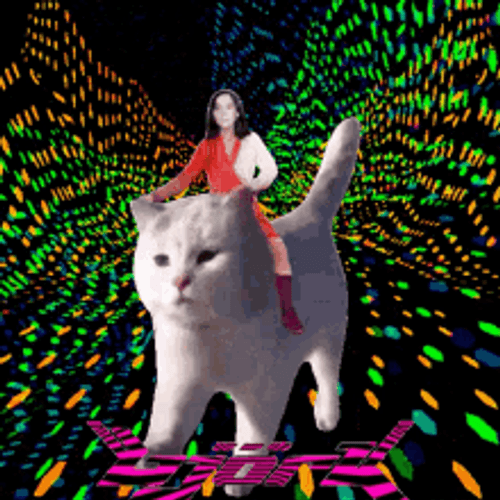 Trippy Bjork Cat GIF