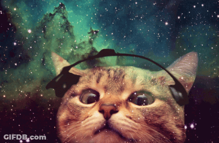 Trippy Cat Vibing In Universe GIF