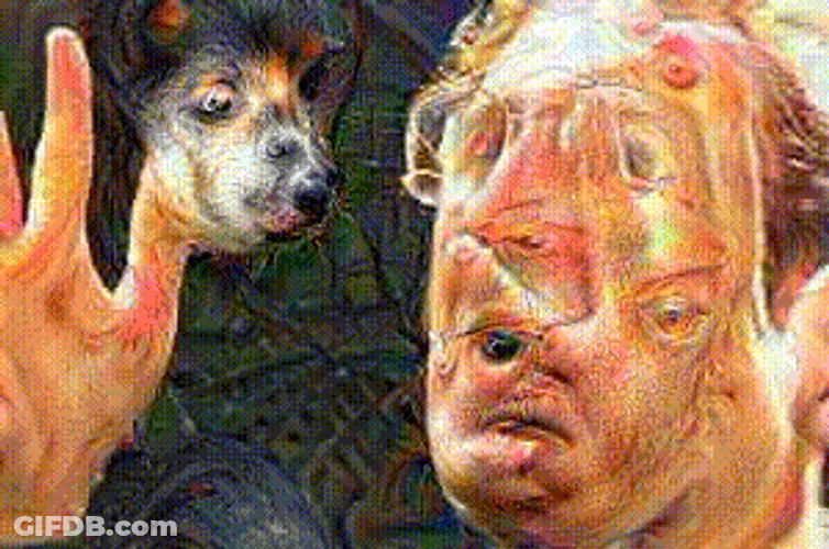 Trippy Dog Effects Mindblown GIF