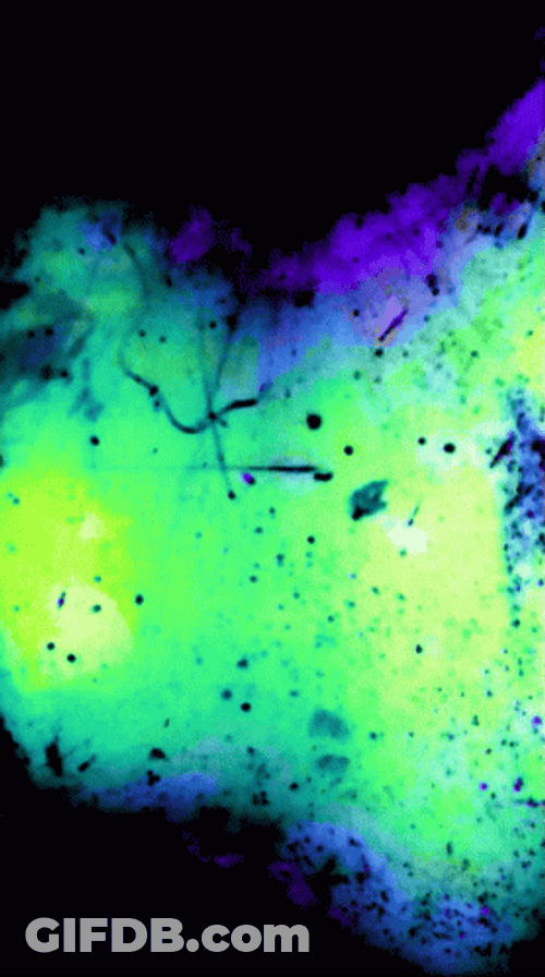 Trippy Dope Flashing GIF