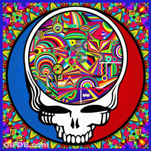 Trippy Dope Steal Your Face Skull GIF