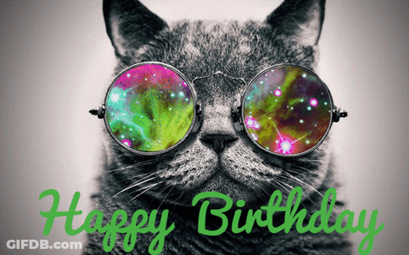 Trippy Happy Birthday Cat GIF