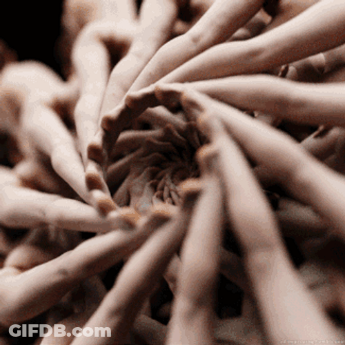 Trippy Legs Revolving Loop GIF