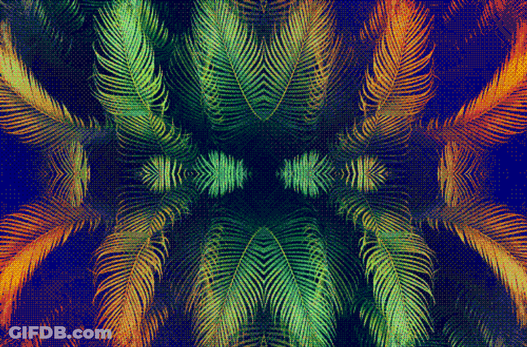 Trippy Palm Tree Psychedelic Art GIF