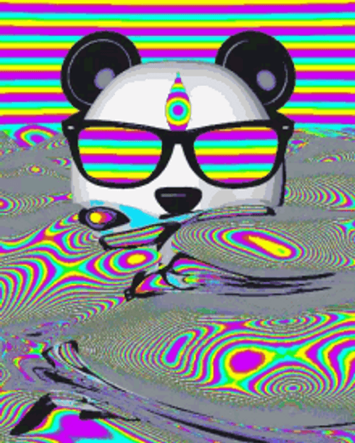 Trippy Panda Shades GIF