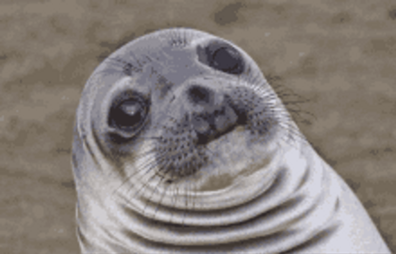 Trippy Seal Wavy Chin GIF