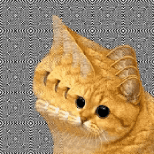 Trippy Tabby Cat GIF