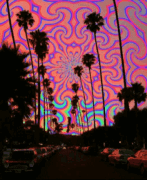 Trippy Tropical Wallpaper GIF