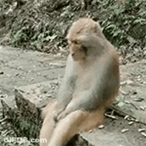 Triste Isolado GIF