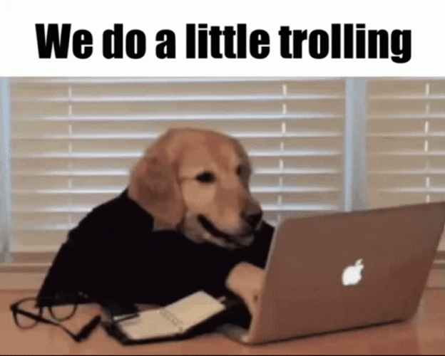 Troll Dog Internet We Do A Little Trolling GIF