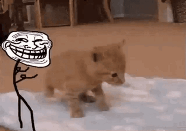 Troll Face Meme Pushing Cat GIF