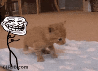 Troll Face Next To Kitten GIF