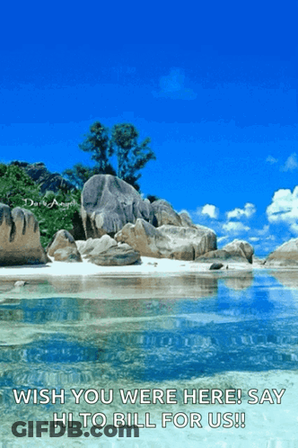 Tropical Beach Wish You Were Here Say Hi To Bill GIF