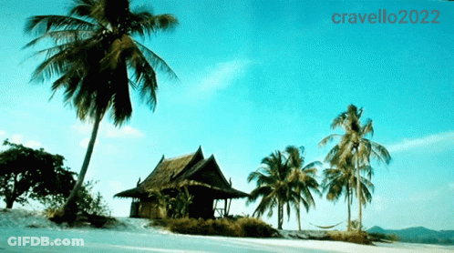 Tropical Island 2022 GIF