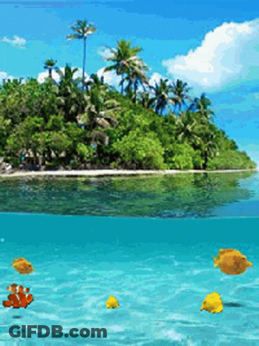 Tropical Island With Palm Trees And Fish GIF