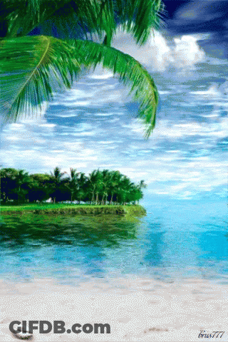 Tropical Sea GIF