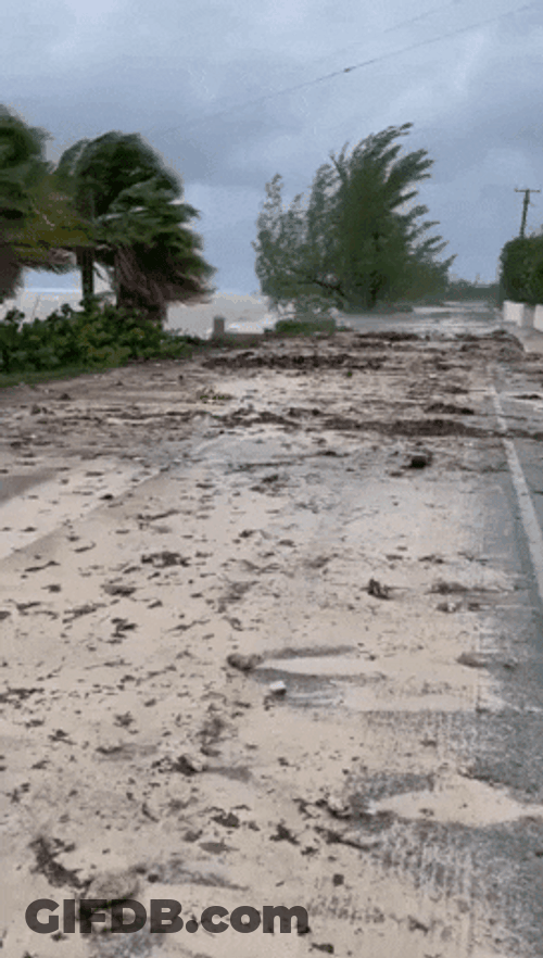 Tropical Storm Aftereffects Scattered Debris GIF