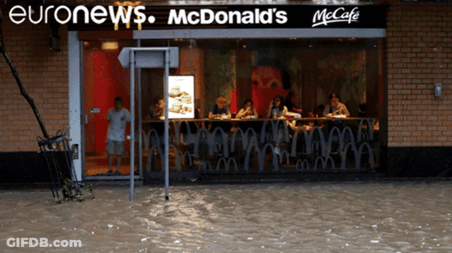 Tropical Storm Aftermath Image Compilation GIF