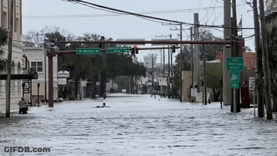 Tropical Storm Funny Swimming In Flood GIF