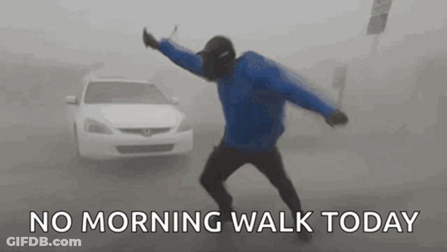 Tropical Storm No Morning Walk Meme GIF