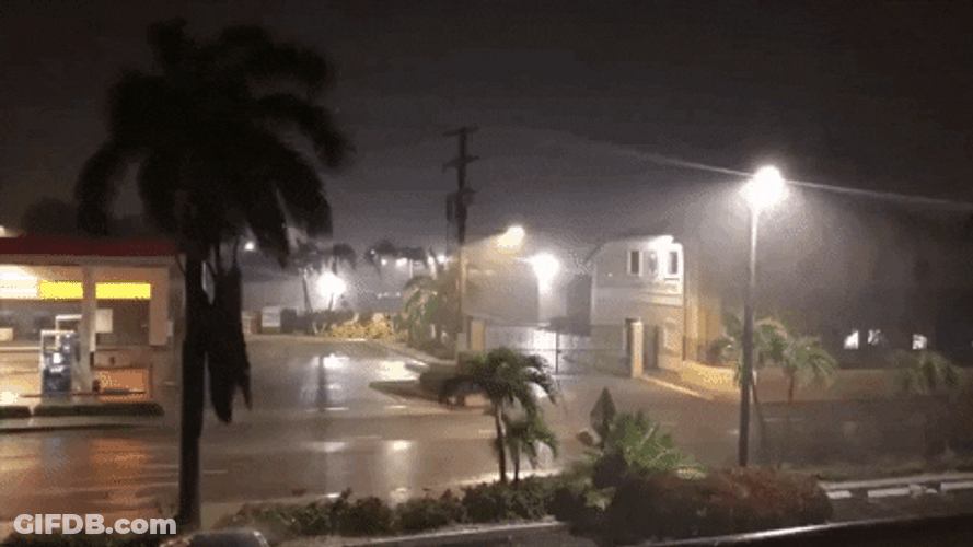 Tropical Storm Strong Winds Rain Blowing GIF
