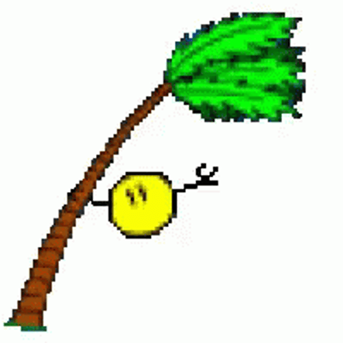 Tropical Storm Yellow Puffball Hanging On Tree GIF